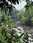 IMG_7454