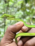 IMG_7433