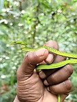 IMG_7430
