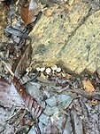 IMG_7402