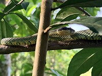 IMG_7380