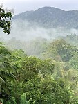 IMG_7370