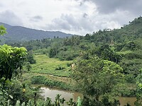 IMG_7358