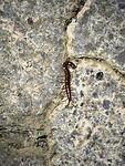 IMG_7508