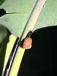 IMG_7516