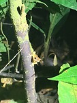 IMG_7535