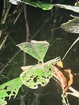 IMG_7538