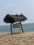 IMG_9560