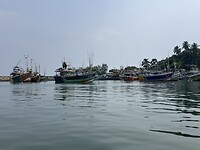 IMG_7598