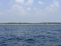 IMG_7581