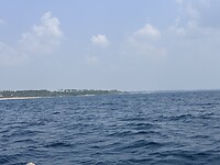IMG_7578