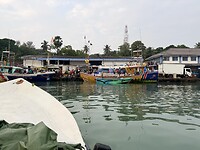 IMG_7566