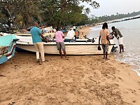 IMG_7561