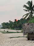 IMG_7558