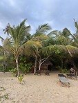 IMG_9550