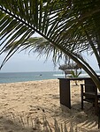 IMG_9546