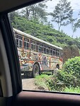 IMG_7551