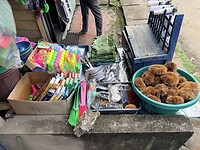 IMG_7545