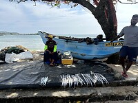 IMG_9572