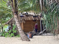 IMG_7619