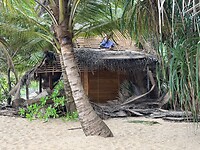 IMG_7618