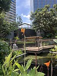 IMG_9663
