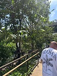 IMG_9662