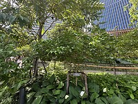IMG_9661