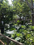 IMG_9660