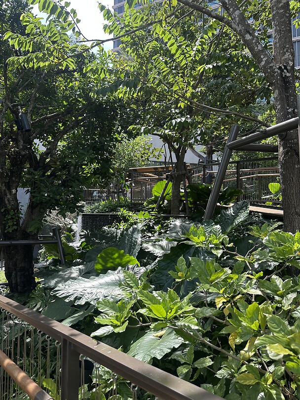 IMG_9660