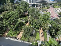 IMG_9651