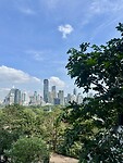 IMG_9649
