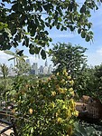 IMG_9642