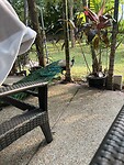 IMG_0218