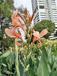 IMG_8301