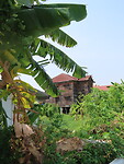 IMG_2556