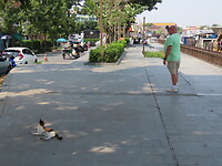 IMG_2547