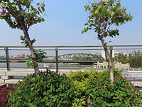 IMG_2539