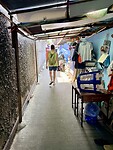 IMG_8363