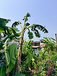 IMG_8357