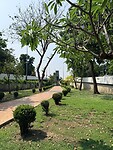 IMG_8338