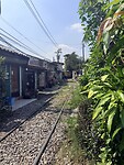 IMG_8452