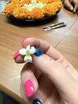 IMG_8436