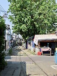 IMG_2623