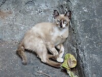 IMG_2598