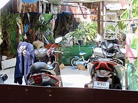 IMG_2595