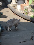 IMG_2594