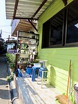 IMG_2589