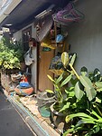 IMG_8418