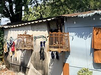 IMG_8413